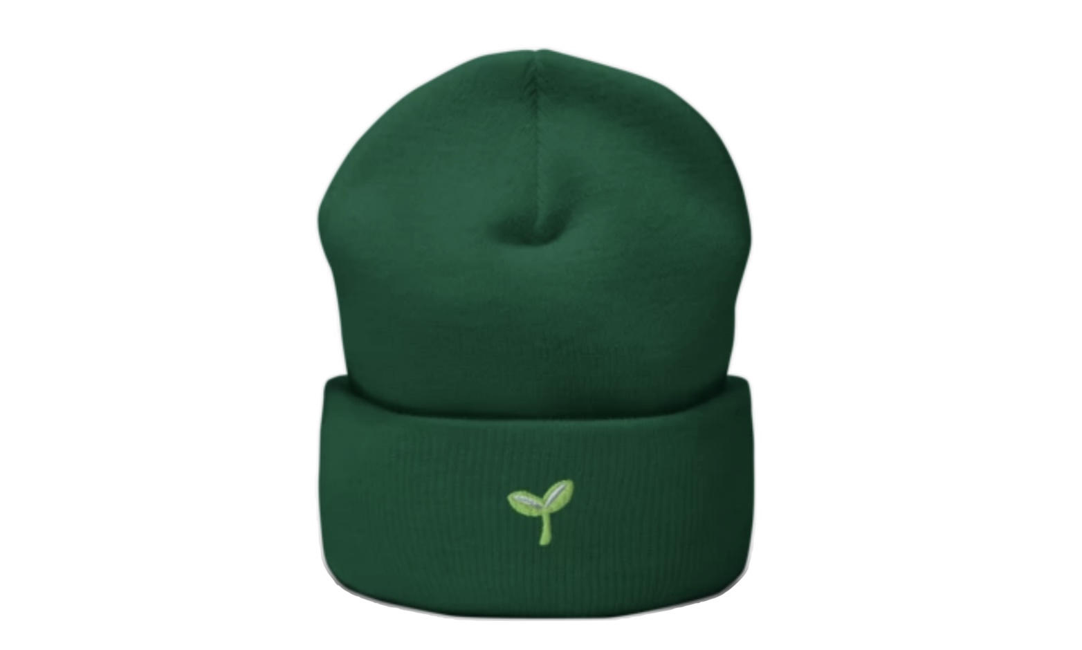 🌱 Novice Beanie